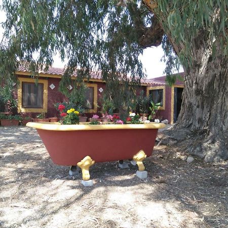 Las Virtudes Casa Del Procurador旅馆 外观 照片